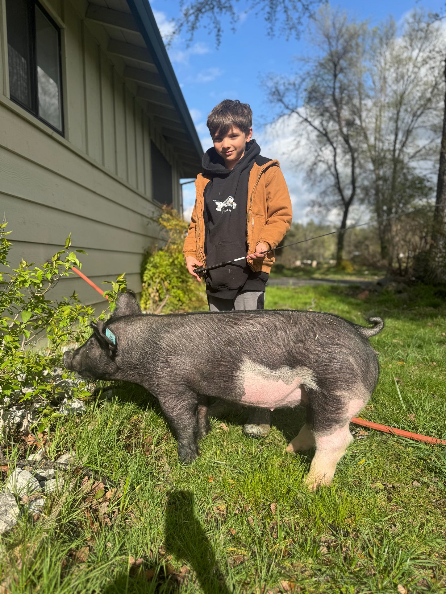 Luke's Pastured and Milk Finished 1/2 Pork