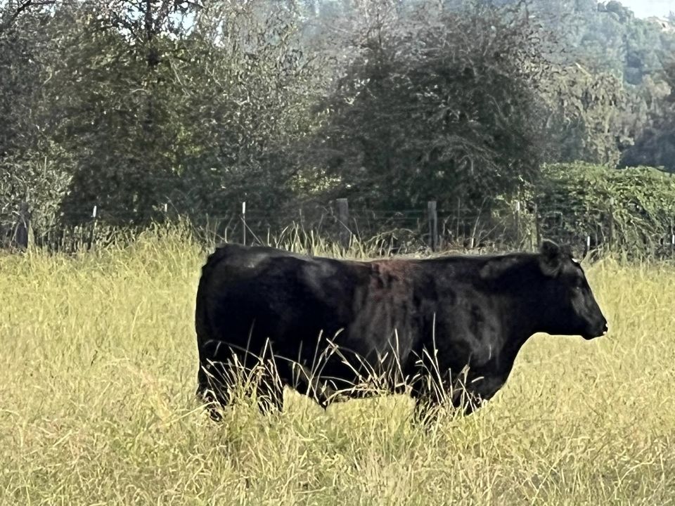 Family Favorites Medium Box