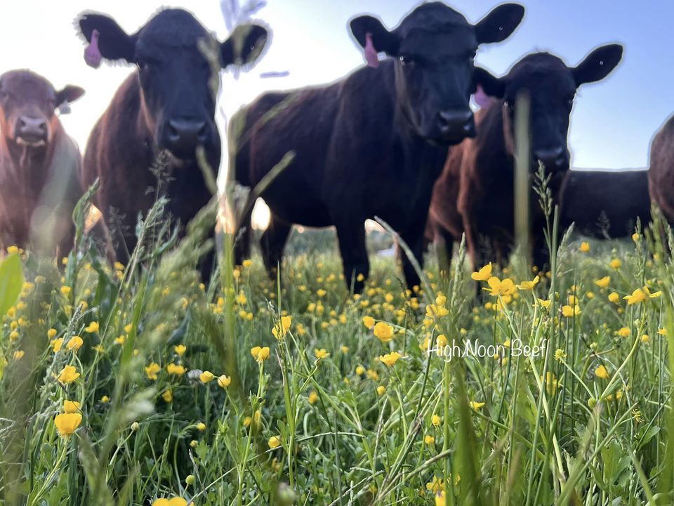 1/2 Grain Finished Beef Share-Deposit
