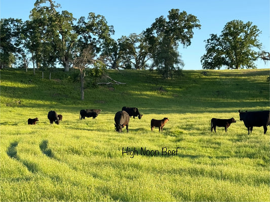 Whole 100% Grass Beef-Sonoma County-DEPOSIT